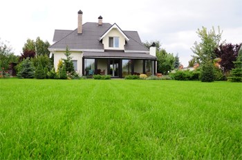 Lawn Fertilization