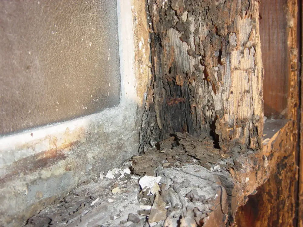 Severely rotted wooden window frame