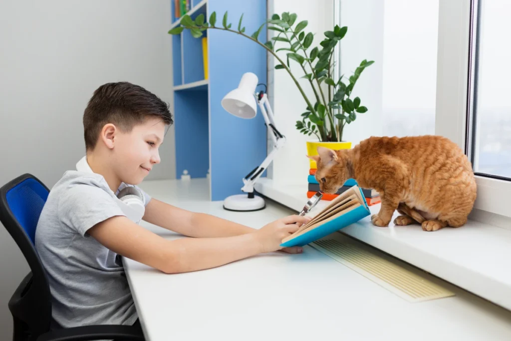 How to Get Rid of Fire Ants in Your South Texas Yard 2 boy desk with cat reading 1
